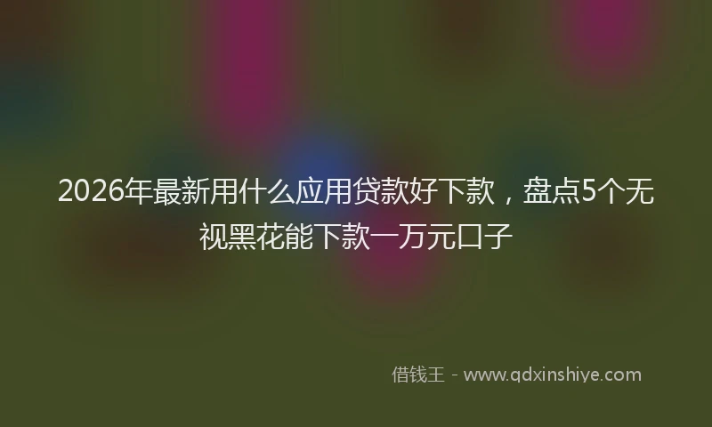 2026年最新用什么应用贷款好下款，盘点5个无视黑花能下款一万元口子