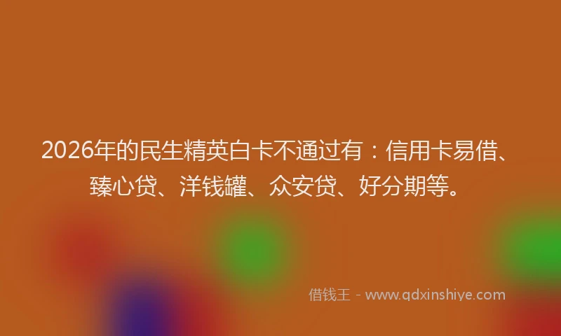 2026年的民生精英白卡不通过有：信用卡易借、臻心贷、洋钱罐、众安贷、好分期等。