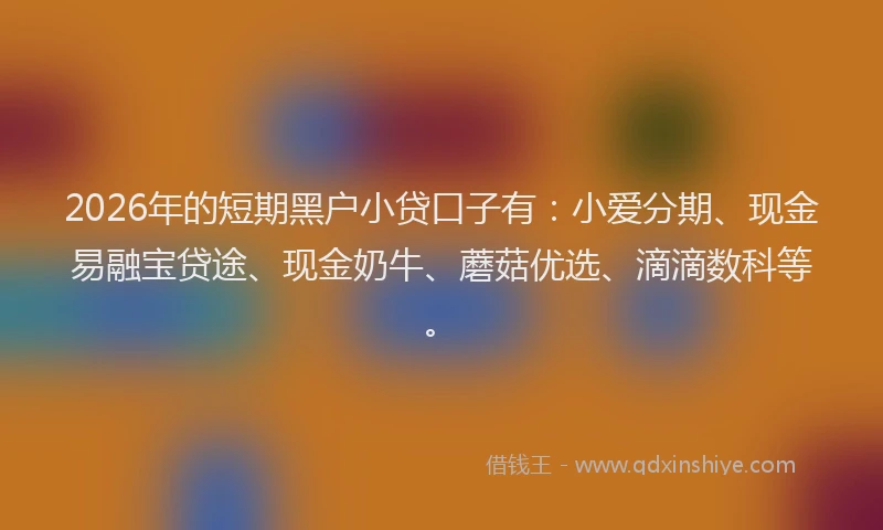 2026年的短期黑户小贷口子有：小爱分期、现金易融宝贷途、现金奶牛、蘑菇优选、滴滴数科等。