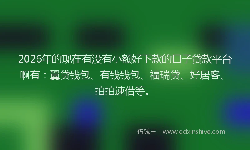 2026年的现在有没有小额好下款的口子贷款平台啊有：翼贷钱包、有钱钱包、福瑞贷、好居客、拍拍速借等。
