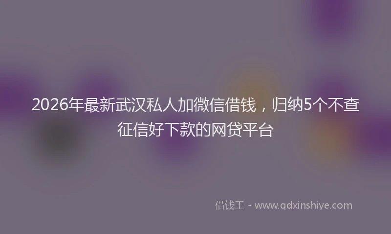 2026年最新武汉私人加微信借钱，归纳5个不查征信好下款的网贷平台