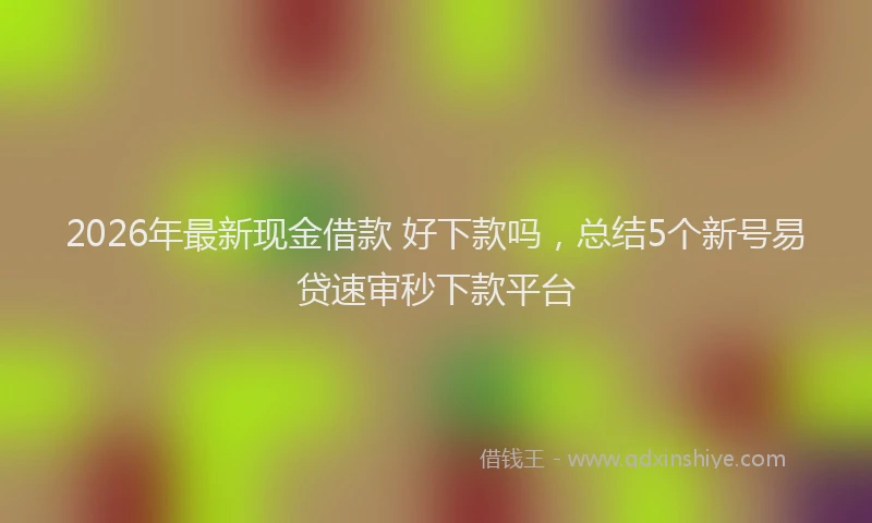 2026年最新现金借款 好下款吗，总结5个新号易贷速审秒下款平台
