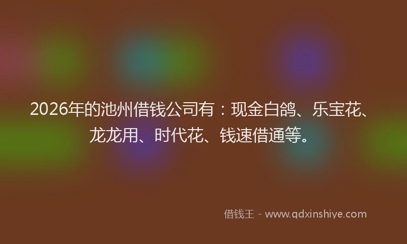 2026年的池州借钱公司有：现金白鸽、乐宝花、龙龙用、时代花、钱速借通等。