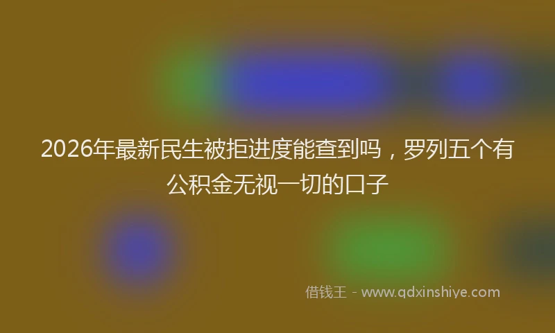 2026年最新民生被拒进度能查到吗，罗列五个有公积金无视一切的口子
