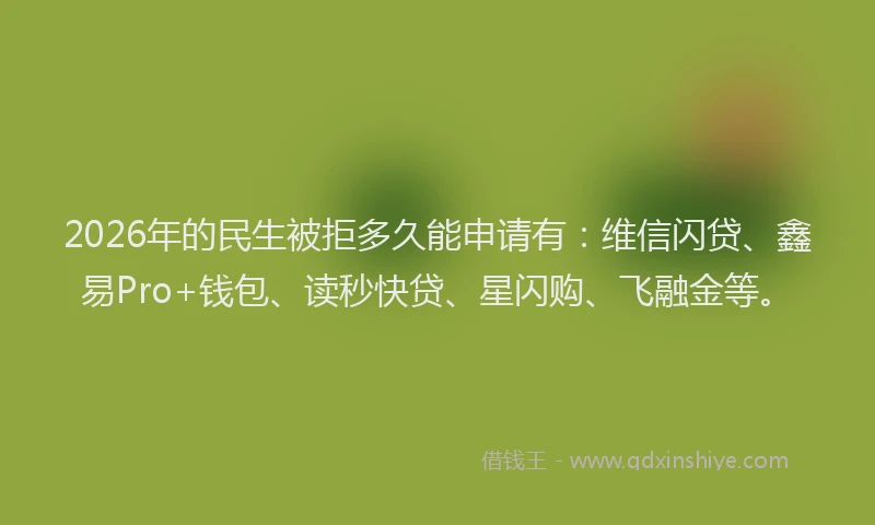 2026年的民生被拒多久能申请有：维信闪贷、鑫易Pro+钱包、读秒快贷、星闪购、飞融金等。