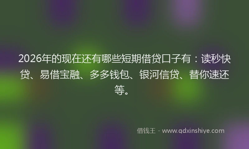 2026年的现在还有哪些短期借贷口子有：读秒快贷、易借宝融、多多钱包、银河信贷、替你速还等。