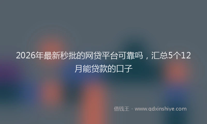 2026年最新秒批的网贷平台可靠吗，汇总5个12月能贷款的口子