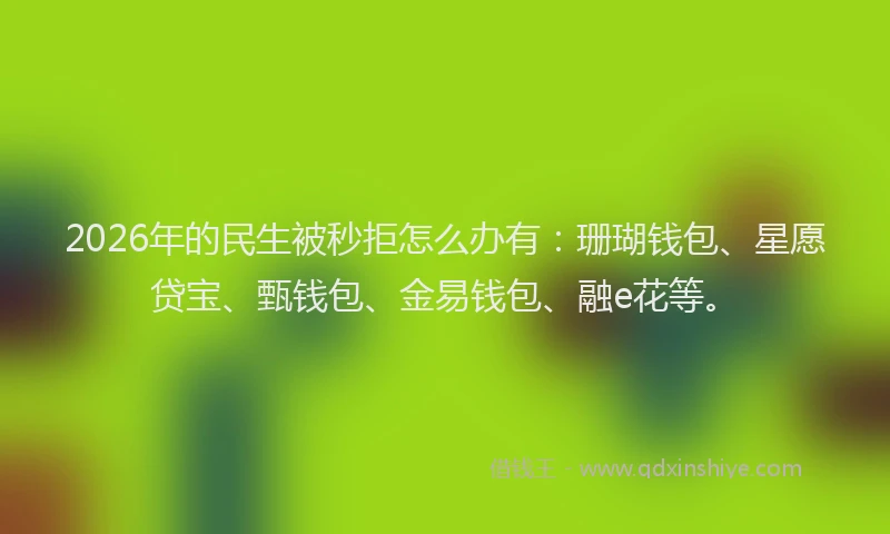 2026年的民生被秒拒怎么办有：珊瑚钱包、星愿贷宝、甄钱包、金易钱包、融e花等。