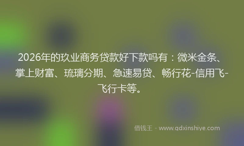 2026年的玖业商务贷款好下款吗有：微米金条、掌上财富、琉璃分期、急速易贷、畅行花-信用飞-飞行卡等。