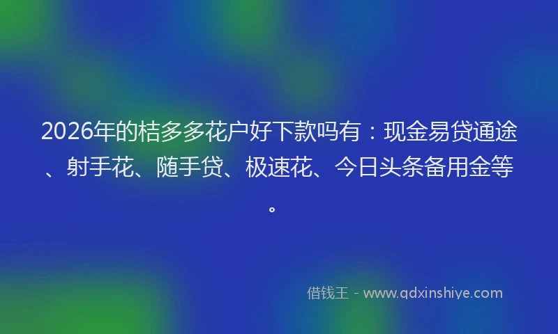 2026年的桔多多花户好下款吗有：现金易贷通途、射手花、随手贷、极速花、今日头条备用金等。