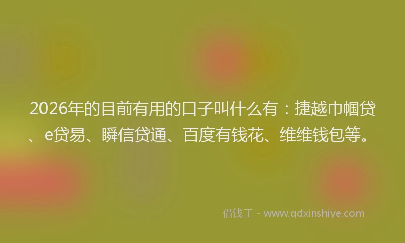 2026年的目前有用的口子叫什么有：捷越巾帼贷、e贷易、瞬信贷通、百度有钱花、维维钱包等。
