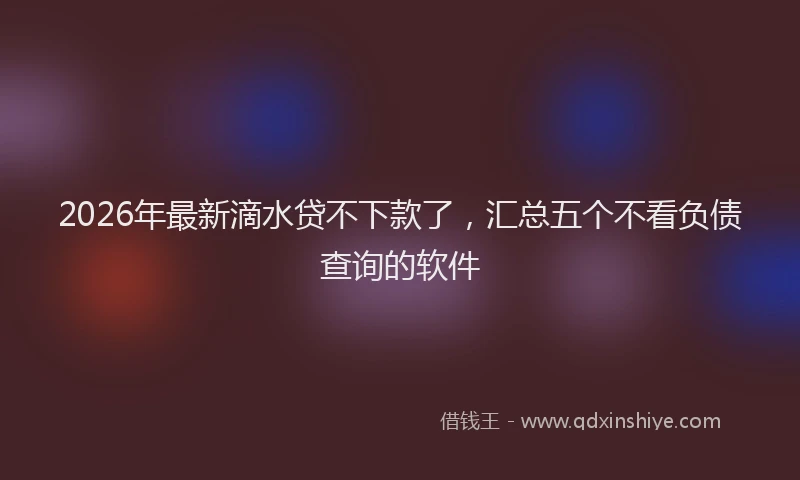 2026年最新滴水贷不下款了，汇总五个不看负债查询的软件