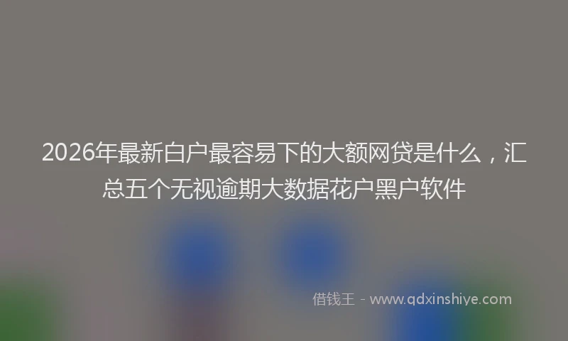 2026年最新白户最容易下的大额网贷是什么，汇总五个无视逾期大数据花户黑户软件