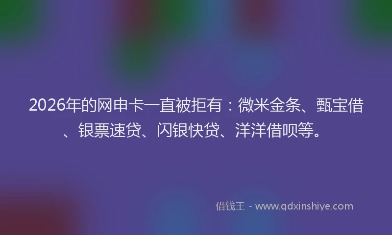 2026年的网申卡一直被拒有：微米金条、甄宝借、银票速贷、闪银快贷、洋洋借呗等。