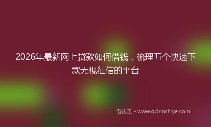 2026年最新网上贷款如何借钱，梳理五个快速下款无视征信的平台