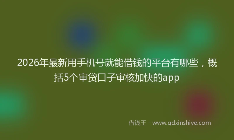 2026年最新用手机号就能借钱的平台有哪些，概括5个审贷口子审核加快的app