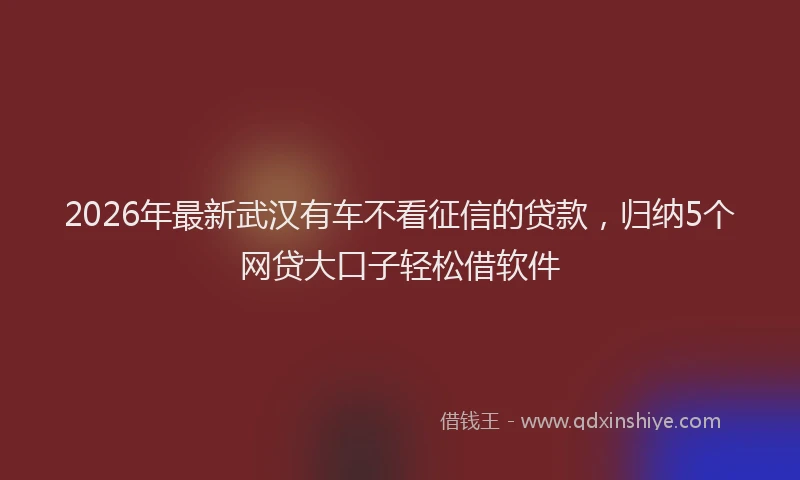 2026年最新武汉有车不看征信的贷款，归纳5个网贷大口子轻松借软件