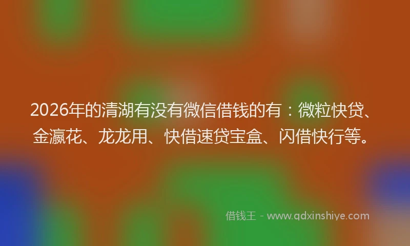 2026年的清湖有没有微信借钱的有：微粒快贷、金瀛花、龙龙用、快借速贷宝盒、闪借快行等。