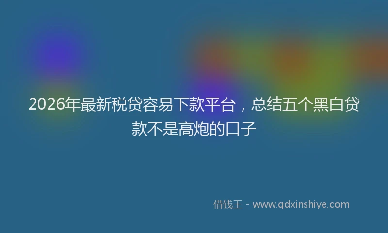 2026年最新税贷容易下款平台，总结五个黑白贷款不是高炮的口子