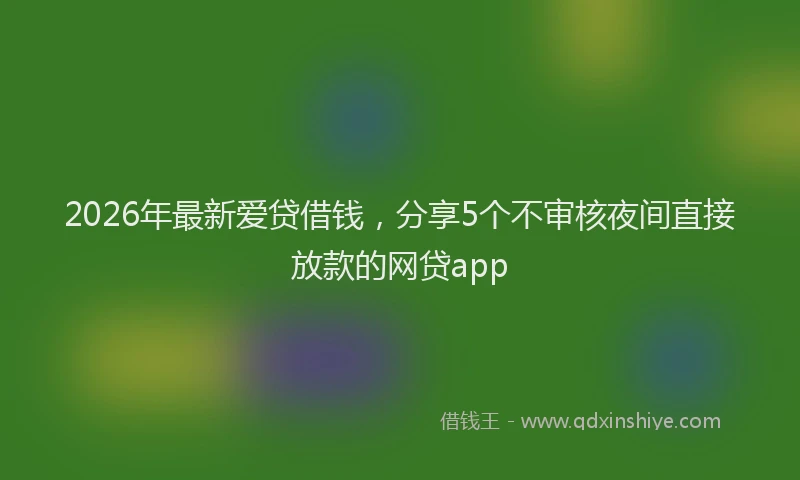 2026年最新爱贷借钱，分享5个不审核夜间直接放款的网贷app