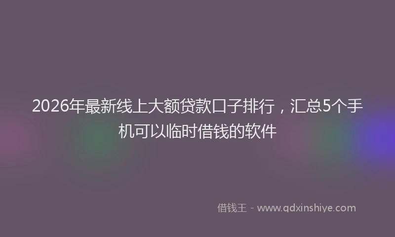 2026年最新线上大额贷款口子排行，汇总5个手机可以临时借钱的软件