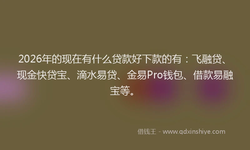 2026年的现在有什么贷款好下款的有：飞融贷、现金快贷宝、滴水易贷、金易Pro钱包、借款易融宝等。