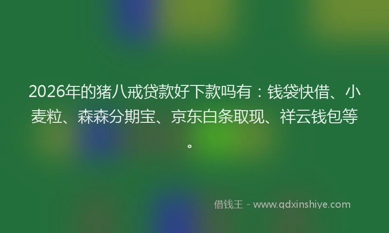2026年的猪八戒贷款好下款吗有：钱袋快借、小麦粒、森森分期宝、京东白条取现、祥云钱包等。