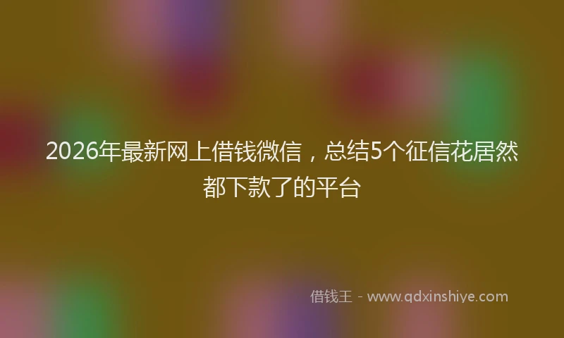 2026年最新网上借钱微信，总结5个征信花居然都下款了的平台