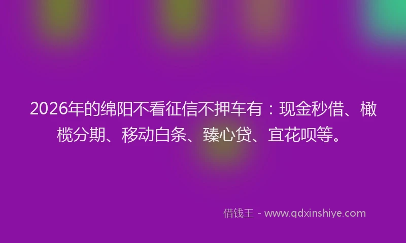 2026年的绵阳不看征信不押车有：现金秒借、橄榄分期、移动白条、臻心贷、宜花呗等。