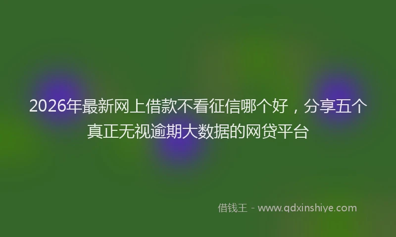 2026年最新网上借款不看征信哪个好，分享五个真正无视逾期大数据的网贷平台