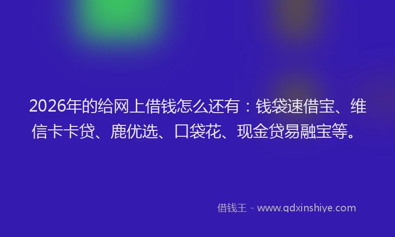 2026年的给网上借钱怎么还有：钱袋速借宝、维信卡卡贷、鹿优选、口袋花、现金贷易融宝等。