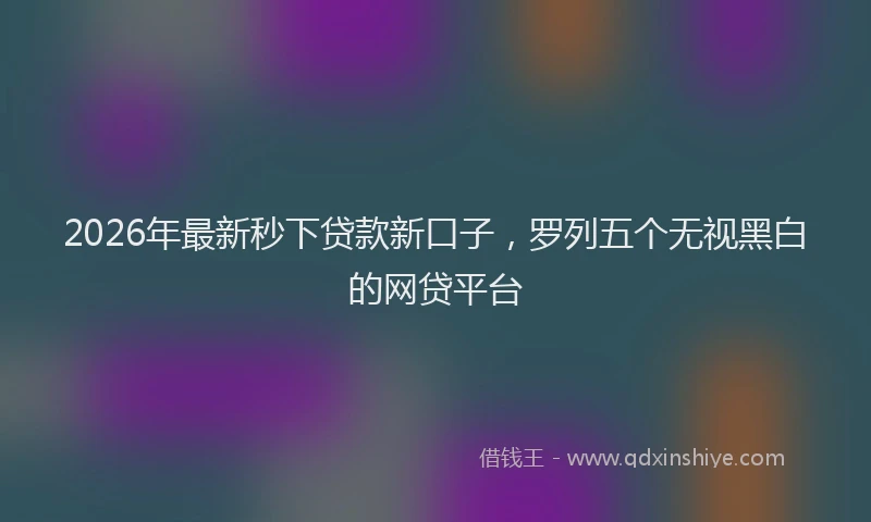 2026年最新秒下贷款新口子，罗列五个无视黑白的网贷平台