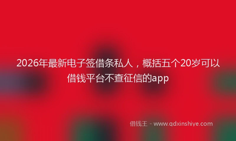 2026年最新电子签借条私人，概括五个20岁可以借钱平台不查征信的app