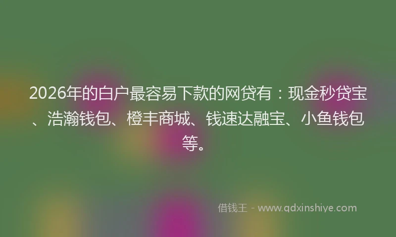 2026年的白户最容易下款的网贷有：现金秒贷宝、浩瀚钱包、橙丰商城、钱速达融宝、小鱼钱包等。