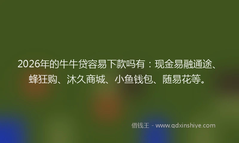 2026年的牛牛贷容易下款吗有：现金易融通途、蜂狂购、沐久商城、小鱼钱包、随易花等。
