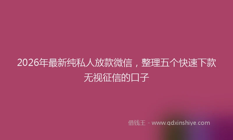 2026年最新纯私人放款微信，整理五个快速下款无视征信的口子