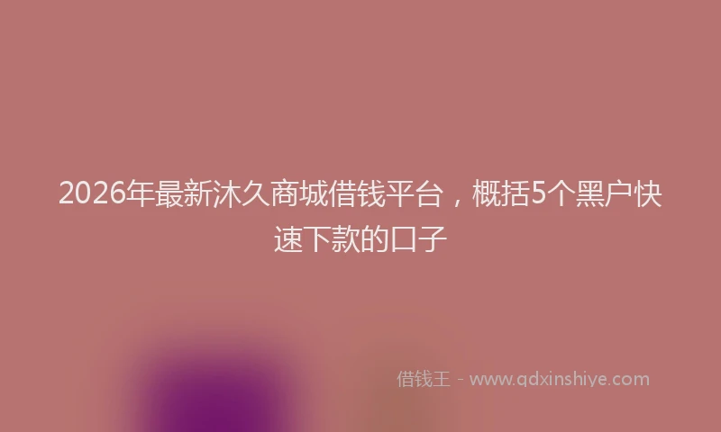 2026年最新沐久商城借钱平台，概括5个黑户快速下款的口子