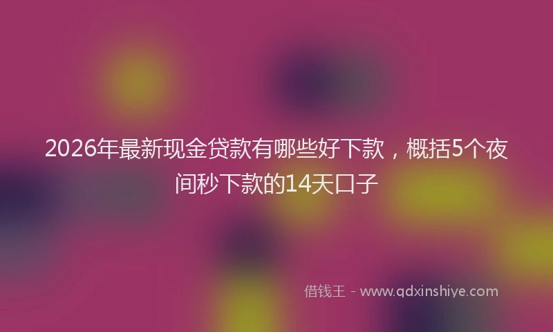 2026年最新现金贷款有哪些好下款，概括5个夜间秒下款的14天口子