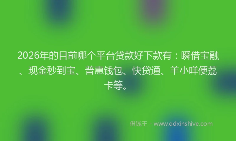 2026年的目前哪个平台贷款好下款有：瞬借宝融、现金秒到宝、普惠钱包、快贷通、羊小咩便荔卡等。