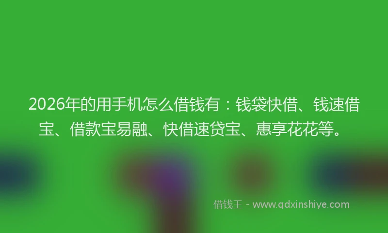 2026年的用手机怎么借钱有：钱袋快借、钱速借宝、借款宝易融、快借速贷宝、惠享花花等。