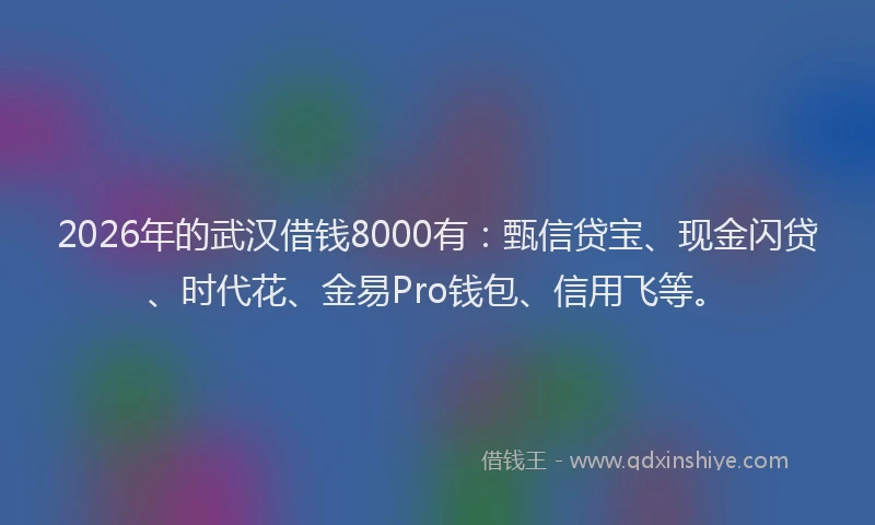 2026年的武汉借钱8000有：甄信贷宝、现金闪贷、时代花、金易Pro钱包、信用飞等。