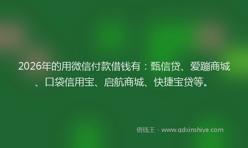 2026年的用微信付款借钱有：甄信贷、爱蹦商城、口袋信用宝、启航商城、快捷宝贷等。