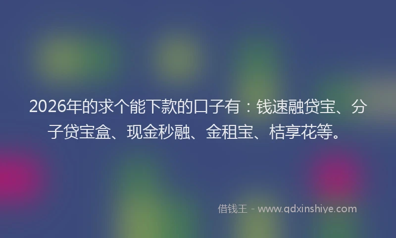 2026年的求个能下款的口子有：钱速融贷宝、分子贷宝盒、现金秒融、金租宝、桔享花等。
