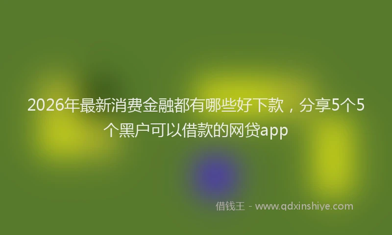 2026年最新消费金融都有哪些好下款，分享5个5个黑户可以借款的网贷app