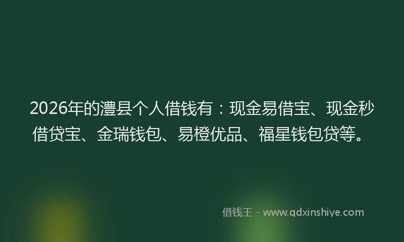 2026年的澧县个人借钱有：现金易借宝、现金秒借贷宝、金瑞钱包、易橙优品、福星钱包贷等。