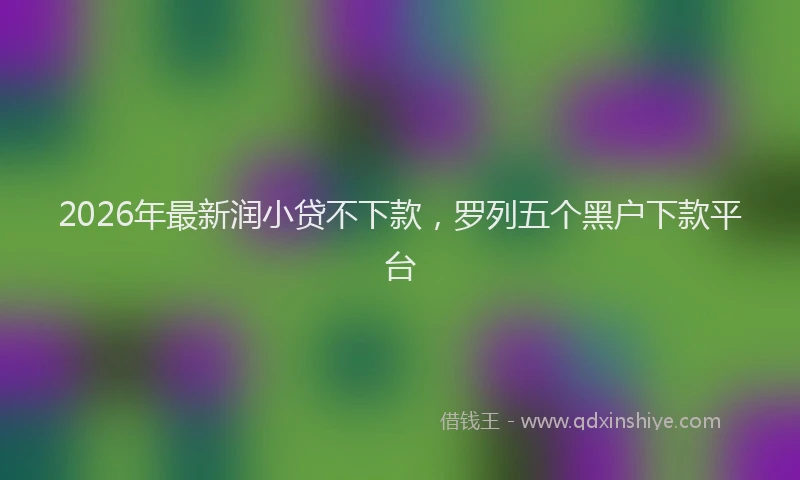 2026年最新润小贷不下款，罗列五个黑户下款平台