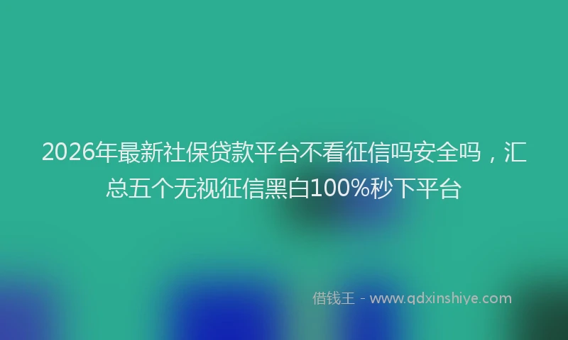 2026年最新社保贷款平台不看征信吗安全吗，汇总五个无视征信黑白100%秒下平台