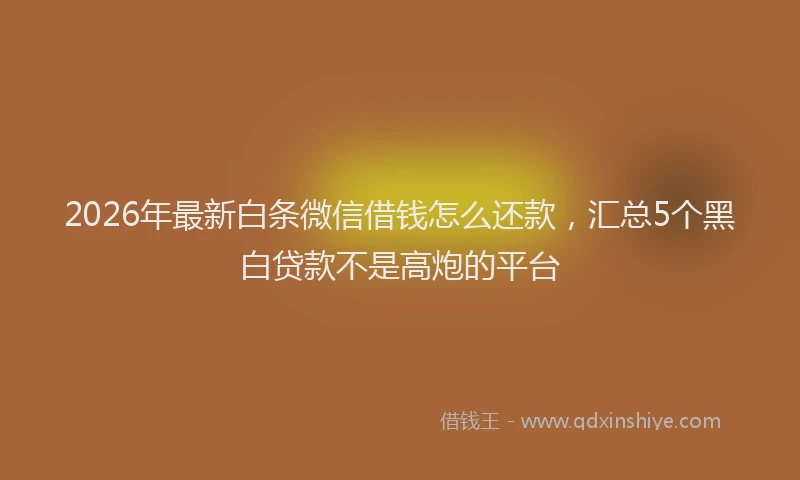 2026年最新白条微信借钱怎么还款，汇总5个黑白贷款不是高炮的平台