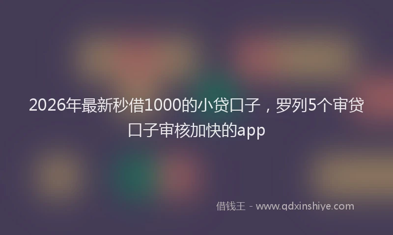 2026年最新秒借1000的小贷口子，罗列5个审贷口子审核加快的app