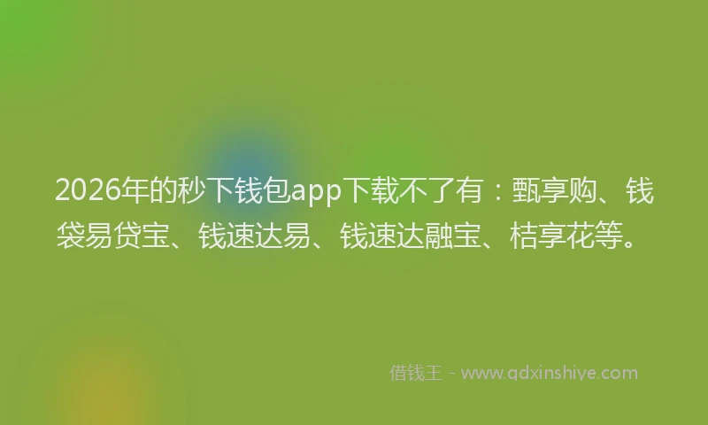 2026年的秒下钱包app下载不了有：甄享购、钱袋易贷宝、钱速达易、钱速达融宝、桔享花等。